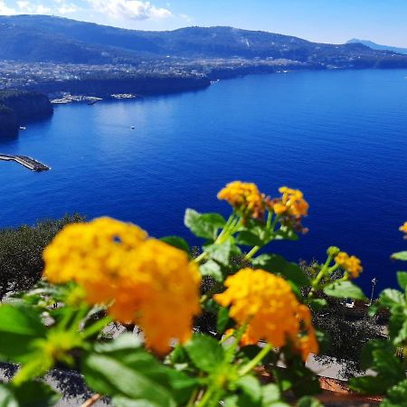 Bella Vista House-Sorrento Coast - Free Parking-Solarium Apartment Vico Equense Exterior photo