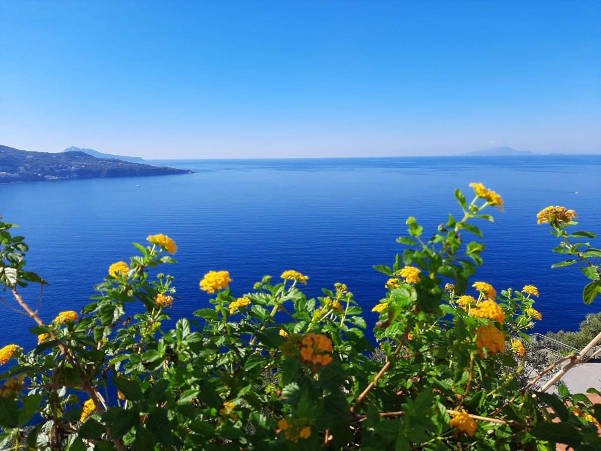 Bella Vista House-Sorrento Coast - Free Parking-Solarium Apartment Vico Equense Exterior photo