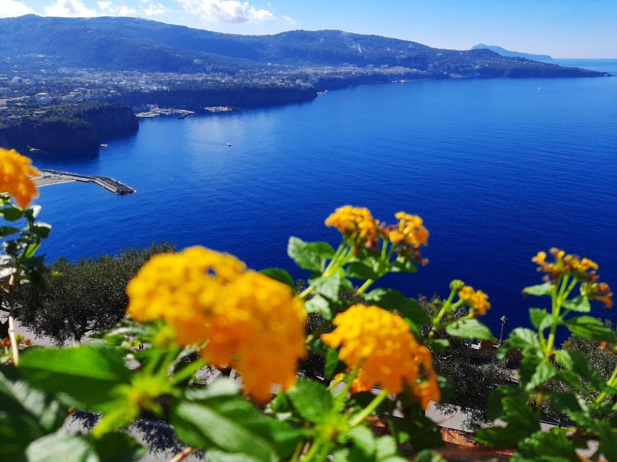 Bella Vista House-Sorrento Coast - Free Parking-Solarium Apartment Vico Equense Exterior photo